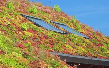 Ladybank living roof systems