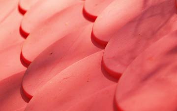 Ladybank plastic roof costs